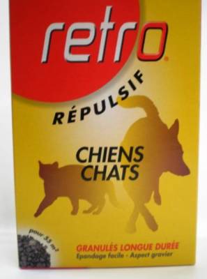 Recto chien chat
